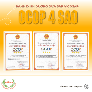 [CHỨNG NHẬN OCOP 4 SAO] BÁNH DỪA SÁP VICOSAP